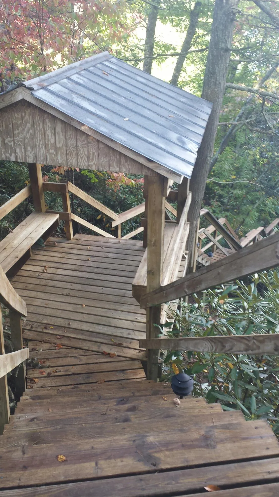 Metal roofed shelter over wooden steps on a wooded walkway — Skylight Repair & Installation work by our crew in Fosters